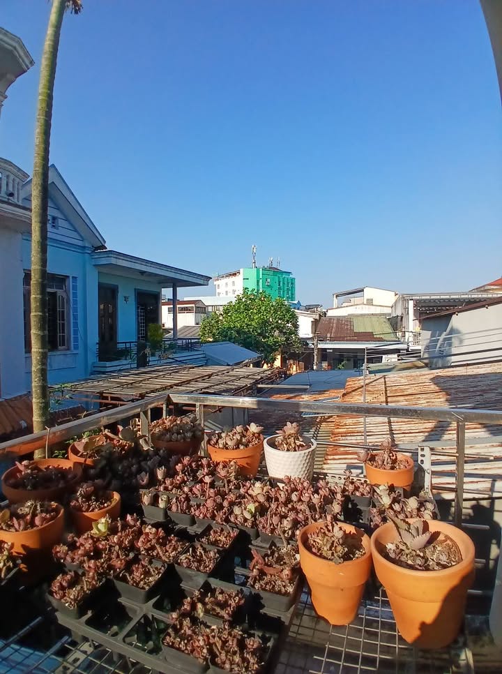 Nhà 2 tầng kiệt Hùng Vương Huế 100m²/6 triệu - Sẵn sàng ở ngay