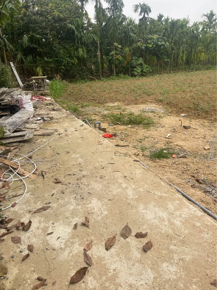 Đất nền Tịnh Hà, Sơn Tịnh 170m² - Sổ hồng sẵn, giá chỉ 3xx triệu