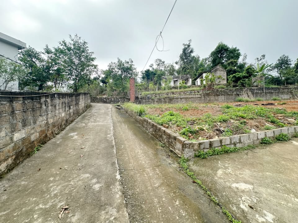 Đất Nền Thủy Nguyên HP 60m² Ngõ Oto - Giá Chỉ Từ 3xx Triệu