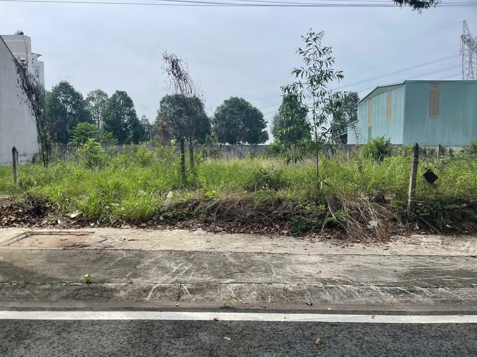 Đất nền TP Thủ Dầu Một 280m² - Tiềm năng tăng giá vượt trội!