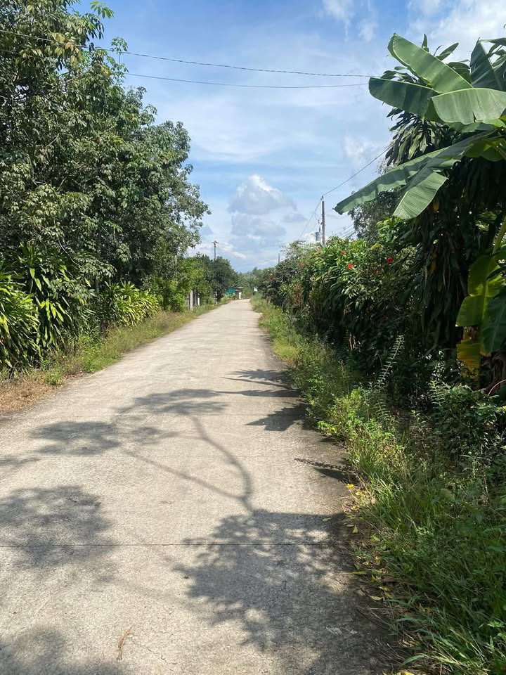 Đất Nền Lai Uyên Bàu Bàng 644m² - Tiềm năng tăng giá vượt trội!