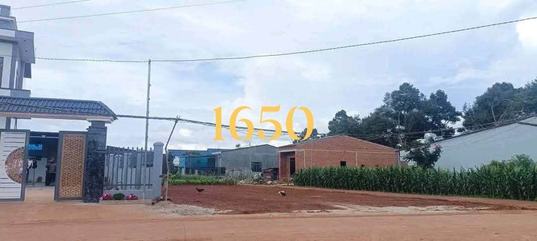 Đất Nền Đắk Mil 260m² - Vuông Đẹp, Giá 1.65 Tỷ, Sẵn Sổ