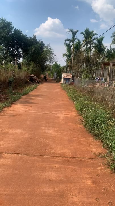 Đất Vườn Gia Lai 15.500m² - Mặt Tiền Bê Tông, Sẵn Nhà Cấp 4, Giá 2.85 Tỷ