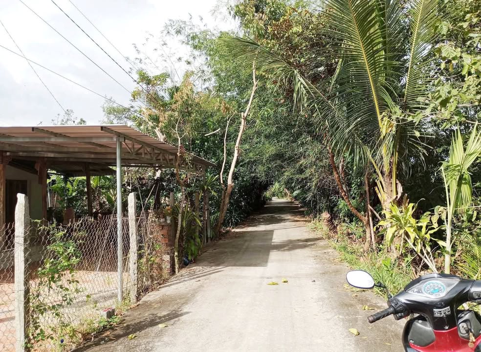 Bán Nền Thổ Cư 384m² Phong Hòa, Lai Vung - Giá 820 Triệu