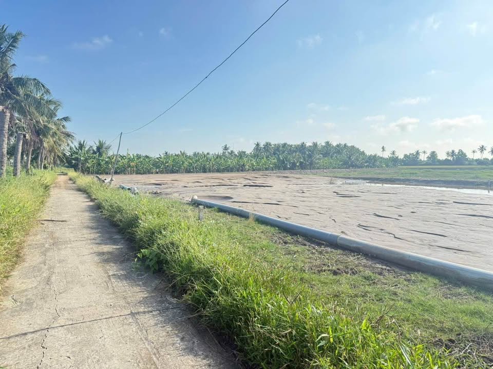 Đất nền Châu Thành An Giang 183m² - Tiềm năng tăng giá vượt trội!