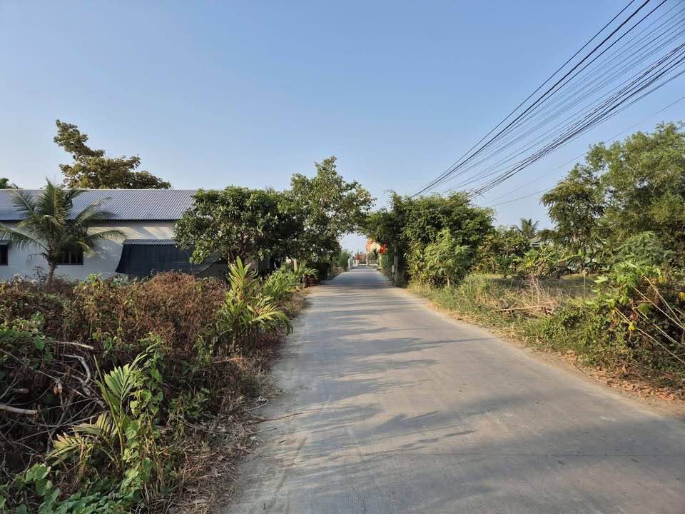 Đất Vườn 293m² Phước Đông, Cần Đước - Sổ Thổ Cư, Giá 1.4 Tỷ TL