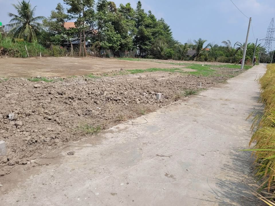 Bán Đất Tân Lân Cần Đước 125m² Sổ Đỏ Giá 680 Triệu - Sẵn Sàng Xây Dựng