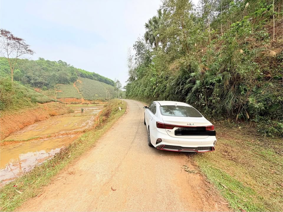 Đất đồi chè Long Cốc 1800m² Phú Thọ - Giá đầu tư tốt!