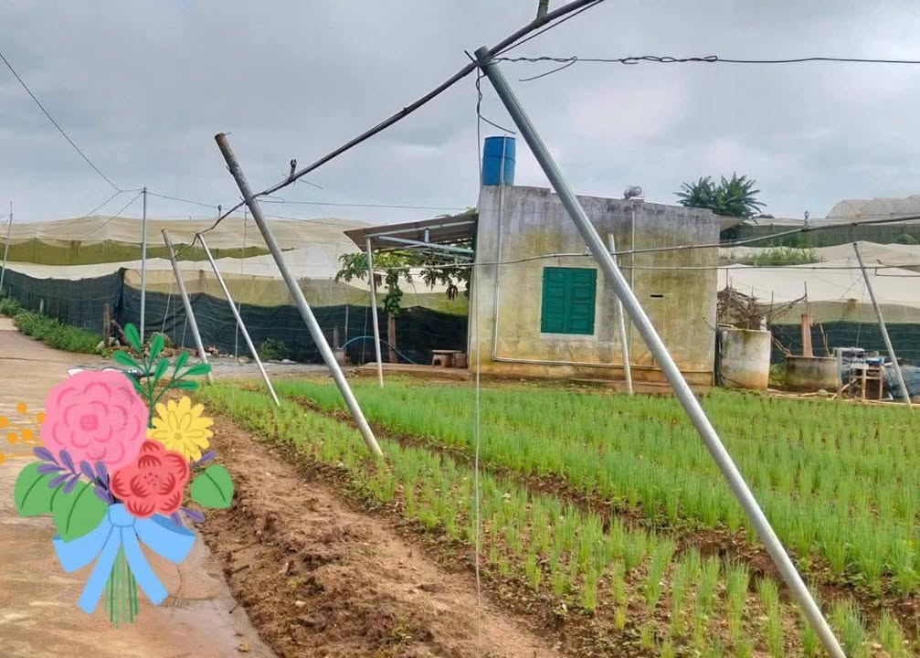 Đất Nền Ka Đô, Lâm Đồng 4.892m² - Tiềm năng tăng giá vượt trội!