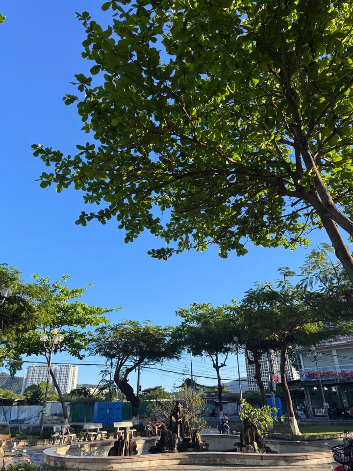 Đất Mặt Tiền Biển Nguyễn Tất Thành, Nha Trang - 3700m² Sổ Đỏ - Đầu Tư Sinh Lời