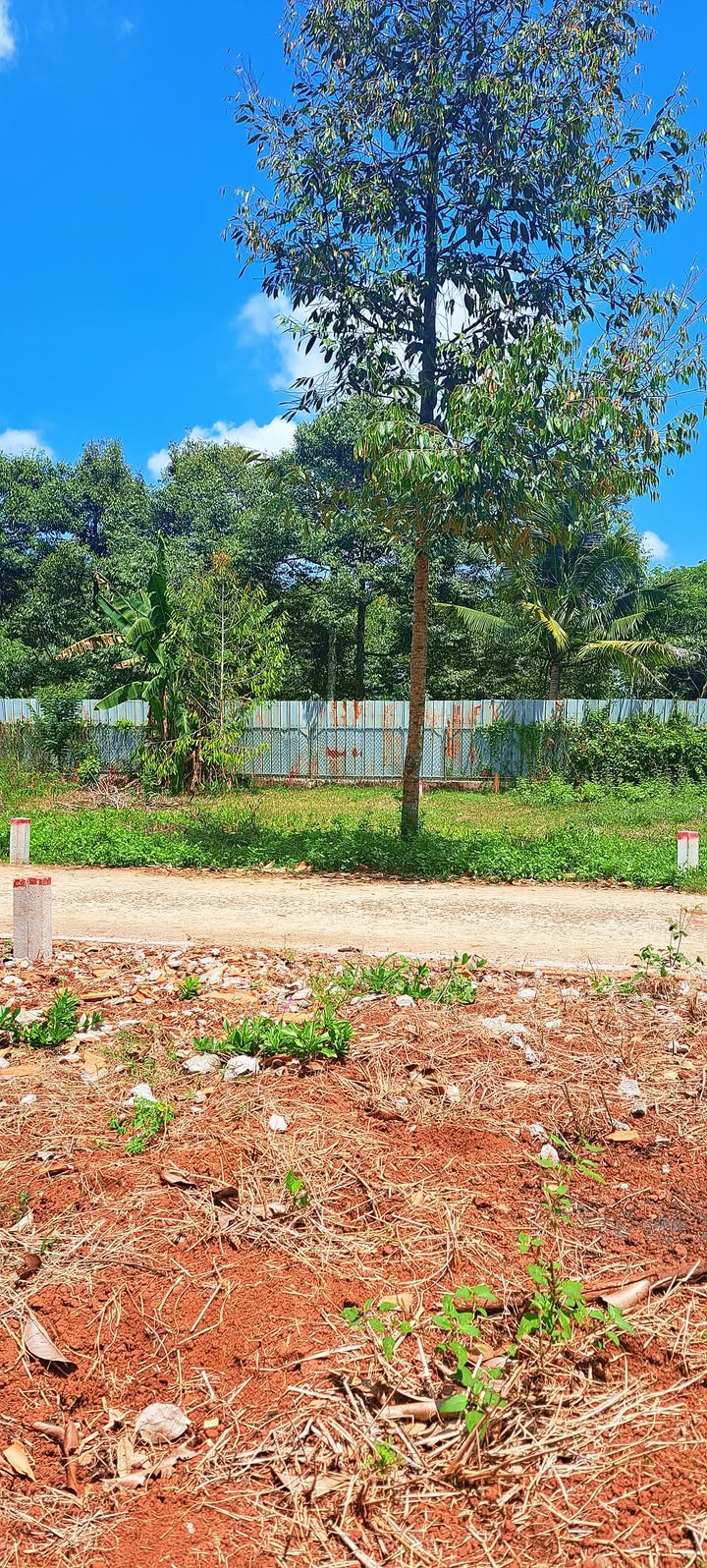 Đất nền Long Khánh 107m² giá 749 triệu - Sổ riêng chính chủ