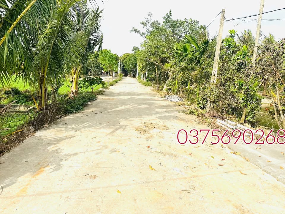 Bán Gấp 2 Lô Liền Kề 88m² Nga Sơn, Ninh Bình - Giá Chỉ Từ 2xx Triệu