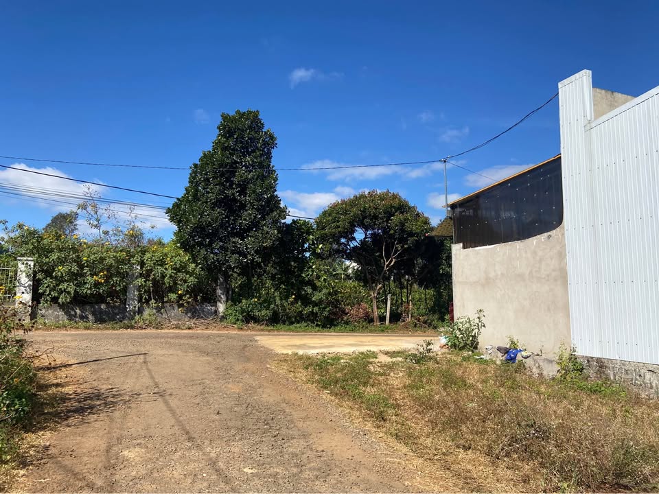 Đất nền Pleiku 145m² Phường Thống Nhất - Sổ đỏ chính chủ!