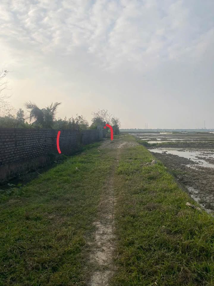 Đất nền Diễn Bình, Diễn Châu 206m² - Sổ đỏ chính chủ, giá tốt!