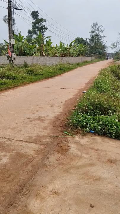 Đất nền Yên Thành 261m² - Sổ đỏ sẵn, giá F0 đầu tư