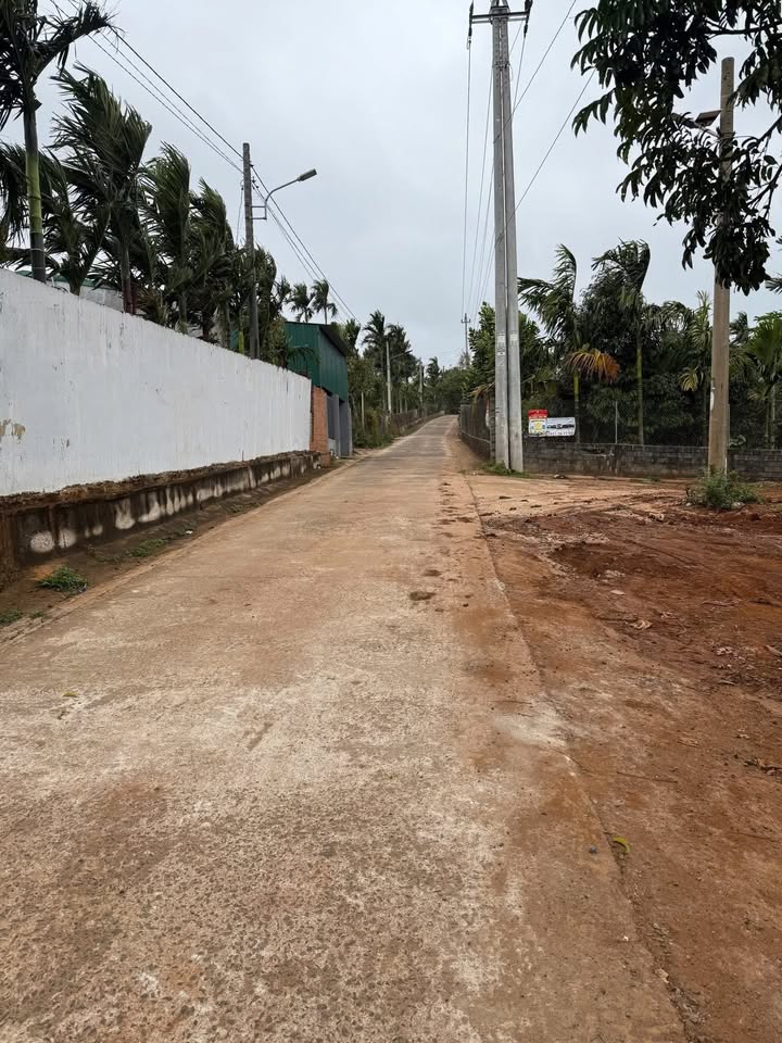 Bán Đất Nền Tân An 180m² - Hẻm Giải Phóng, Sổ Hồng Sẵn Sàng