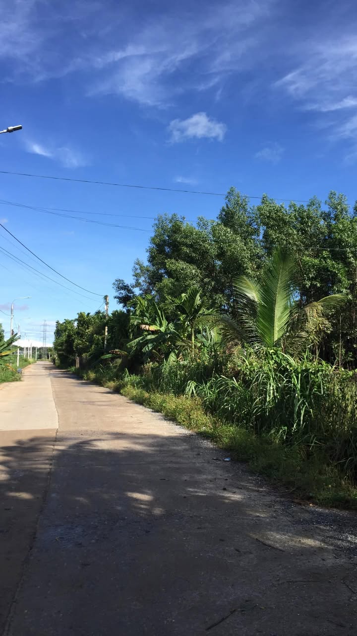 Đất Farm Thị trấn Chợ Chùa 7200m² - Mặt tiền đường lớn, tiềm năng sinh lời!