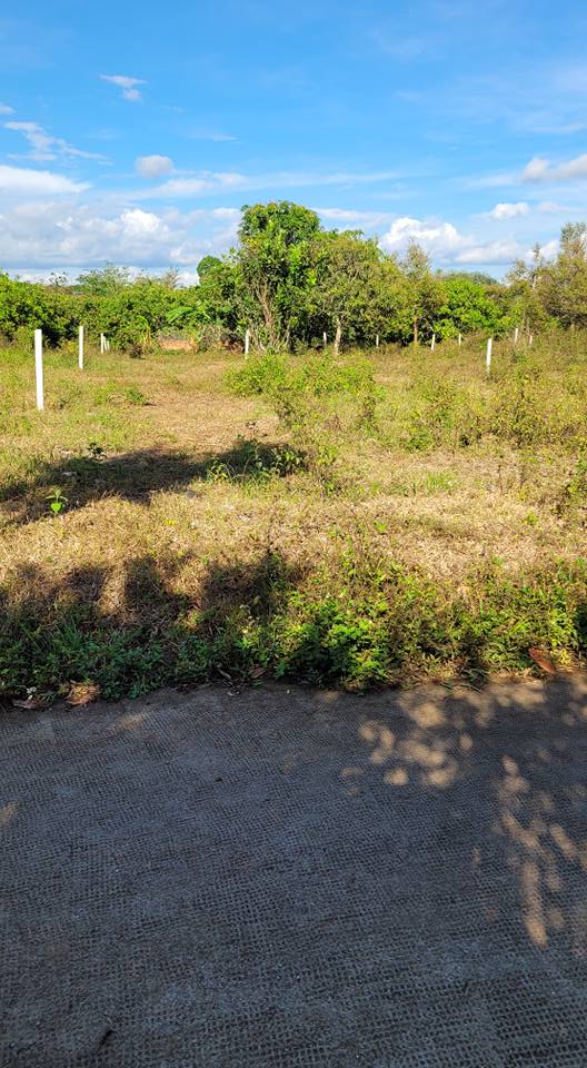 Đất Nền Long Khánh 544m² Sổ Đỏ - Gần QL1A, Cao Tốc, KCN - Chỉ 690 Triệu