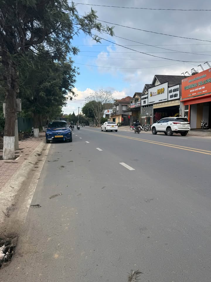 Mặt Tiền Xô Viết Nghệ Tĩnh Đà Lạt 115m² - Kinh doanh/Đầu tư Giá 12 Tỷ