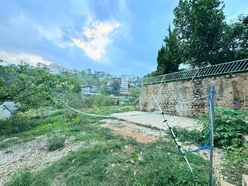 Đất Nông Nghiệp Đà Lạt 540m² - View Đẹp, Tiềm Năng Thổ Cư, Gần Hoàng Hoa Thám