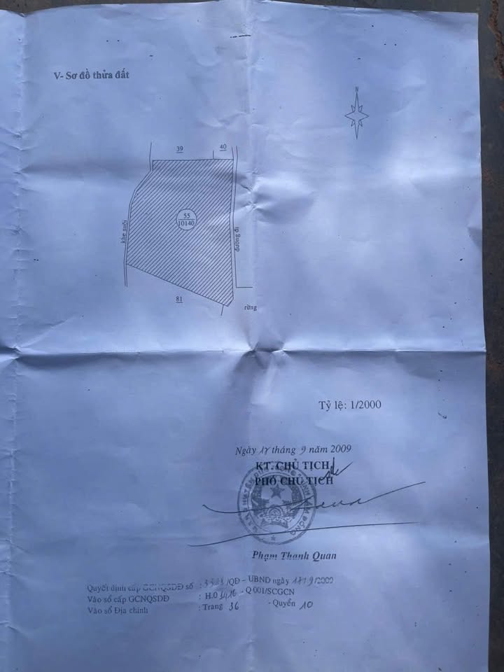 Đất Vườn Phú Hội Đức Trọng 1.1ha - Sổ hồng rõ ràng, đầu tư sinh lời!