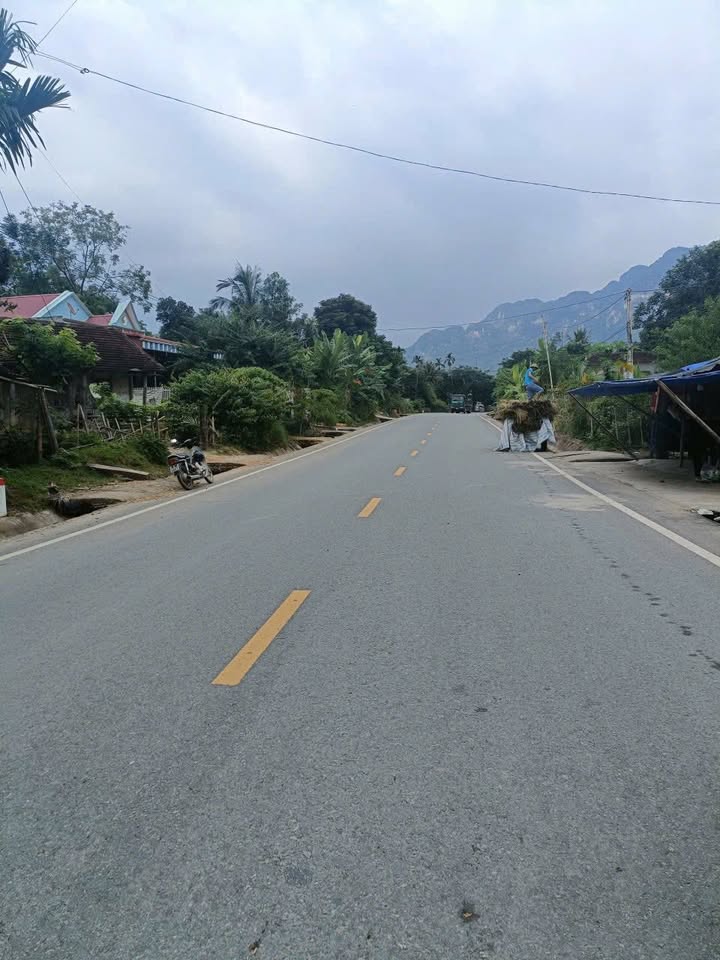 Đất Nền 2 Mặt Tiền Quốc Lộ 217 Thọ Xuân - Sổ Đỏ, Giá Chỉ 3xx Triệu