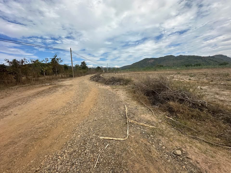 Bán Đất Nền 1440m² Xã Thuận Hòa, Bảo Lộc - Sổ Đỏ Riêng, 2 Mặt Tiền