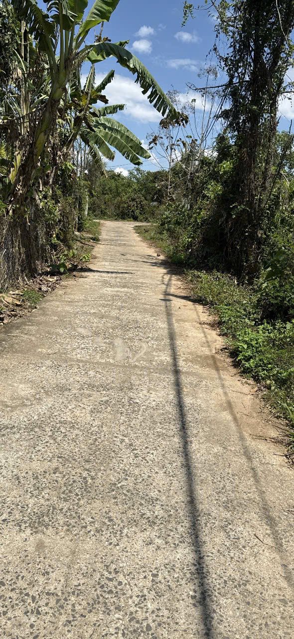 Đất nền Đắk Mâm 216m² chỉ 320 triệu - Sổ đỏ rõ ràng!