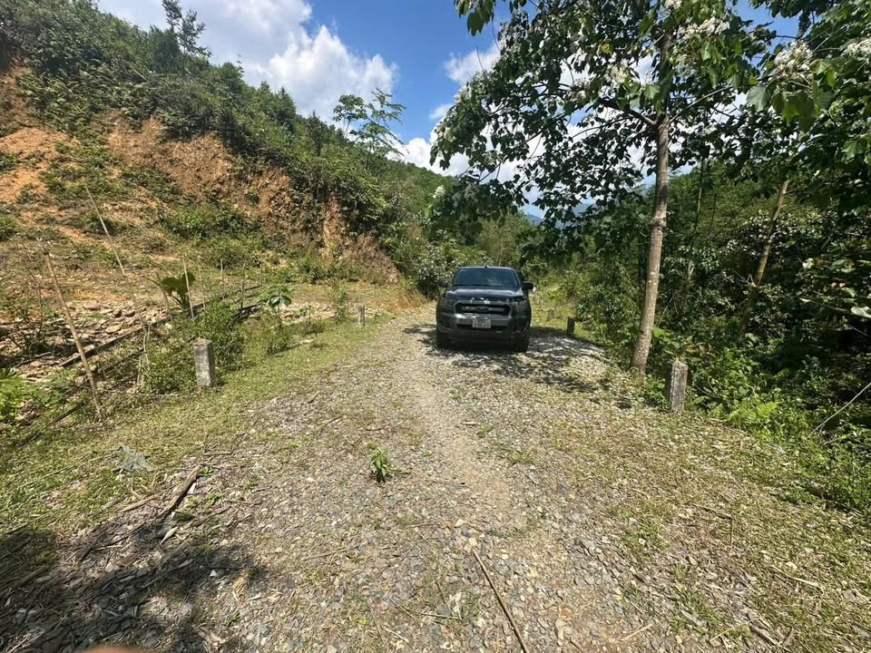 Đất Vườn 17000m² - Suối Chảy Quanh Đất, Gần Dân, Huế - Giá Đầu Tư 3xx Triệu