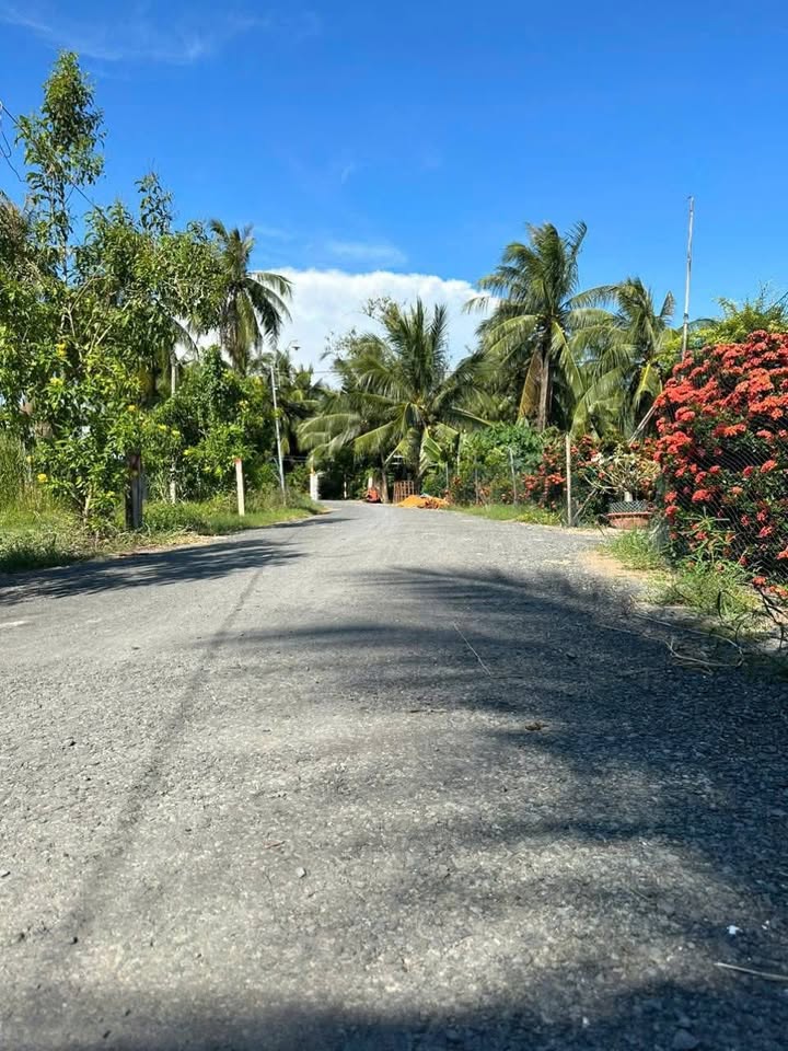 Bán đất thổ cư Long Vĩnh, Gò Công Tây 150m² - 350 triệu, sổ hồng sẵn