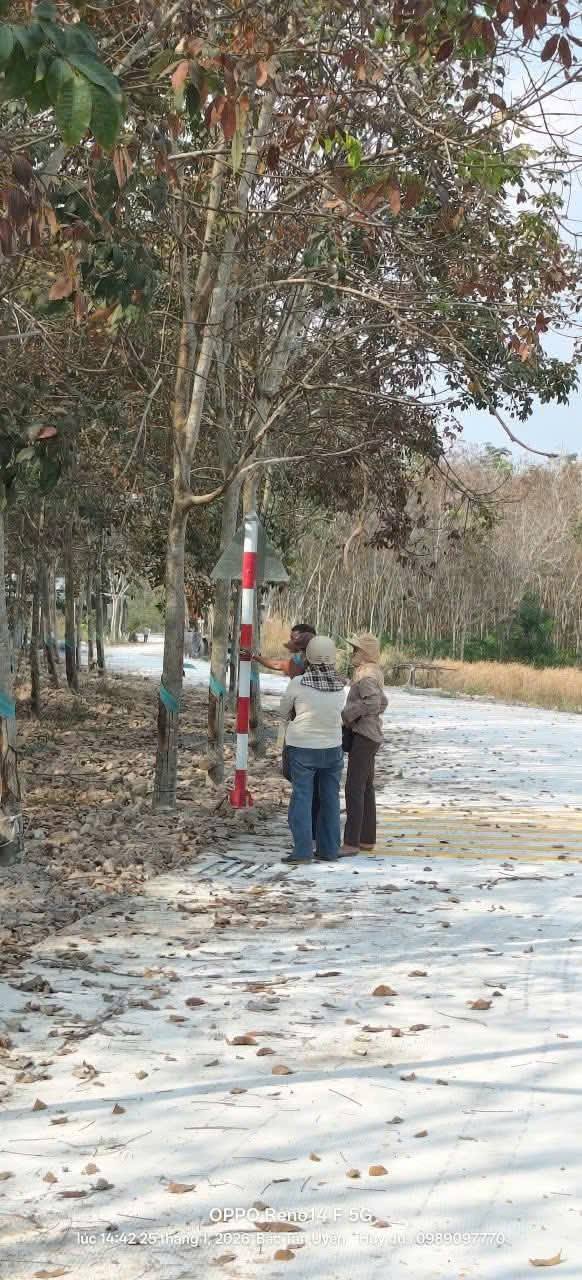 Đất nền Tân Thành 1104m² - Lô góc, Tiềm năng tăng giá!