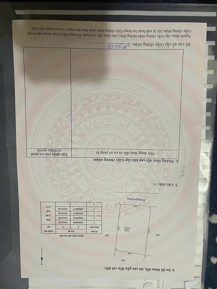 Đất nền Cẩm Xuyên, Hà Tĩnh 98515m² – Tiềm năng tăng giá!