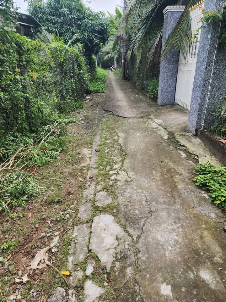 Bán đất nền 150m² sổ hồng thổ cư tại Tháp Mười, Đồng Tháp - Giá 530 triệu