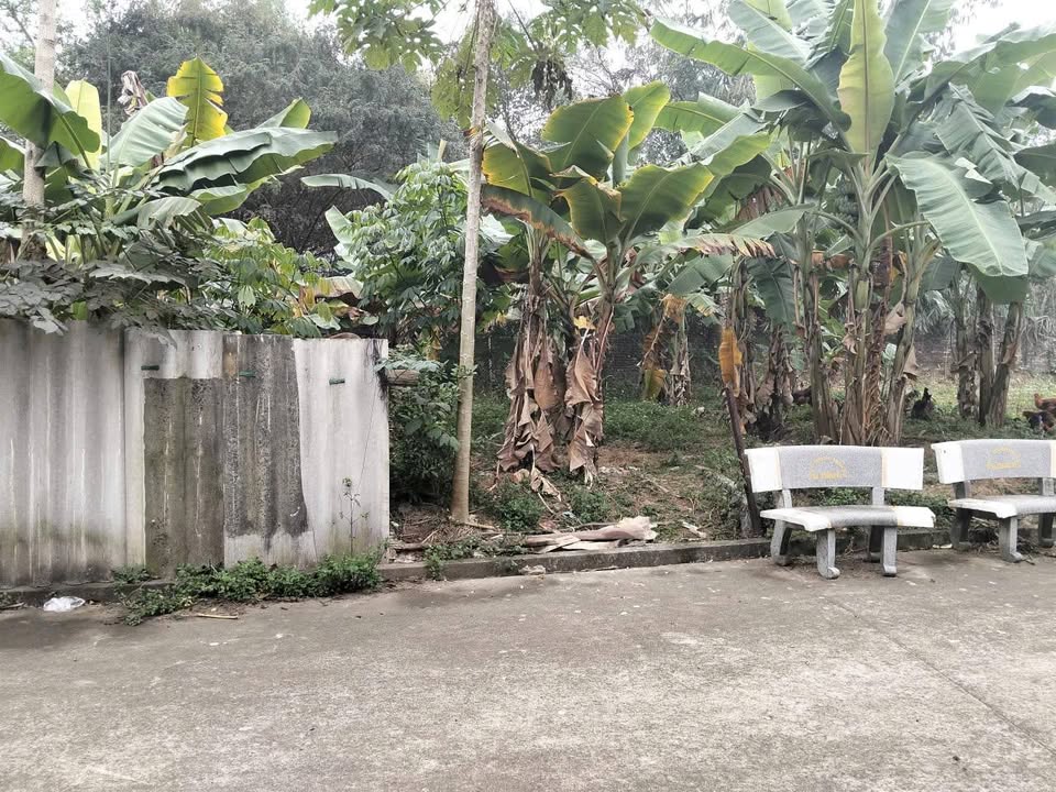 Bán đất Yên Thế, Bắc Giang 135m² - Sổ đỏ sẵn, giá chỉ 8xx triệu