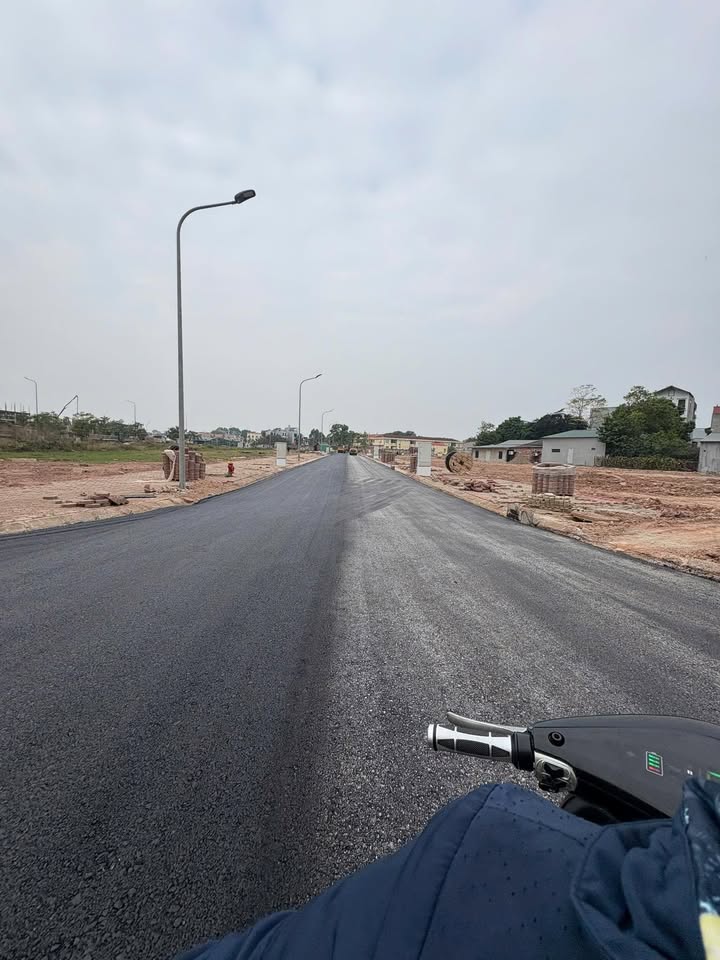 Đất nền dự án Lam Sơn Lexus City 90m² - Giá tốt hiếm có!