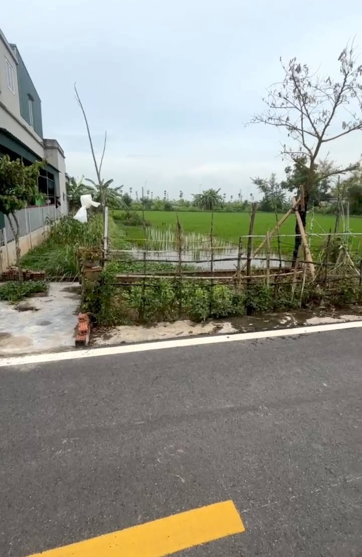 Đất nền Tiền Hải, Thái Bình 123.7m² - Sổ đỏ chính chủ, giá đầu tư 1.x tỷ