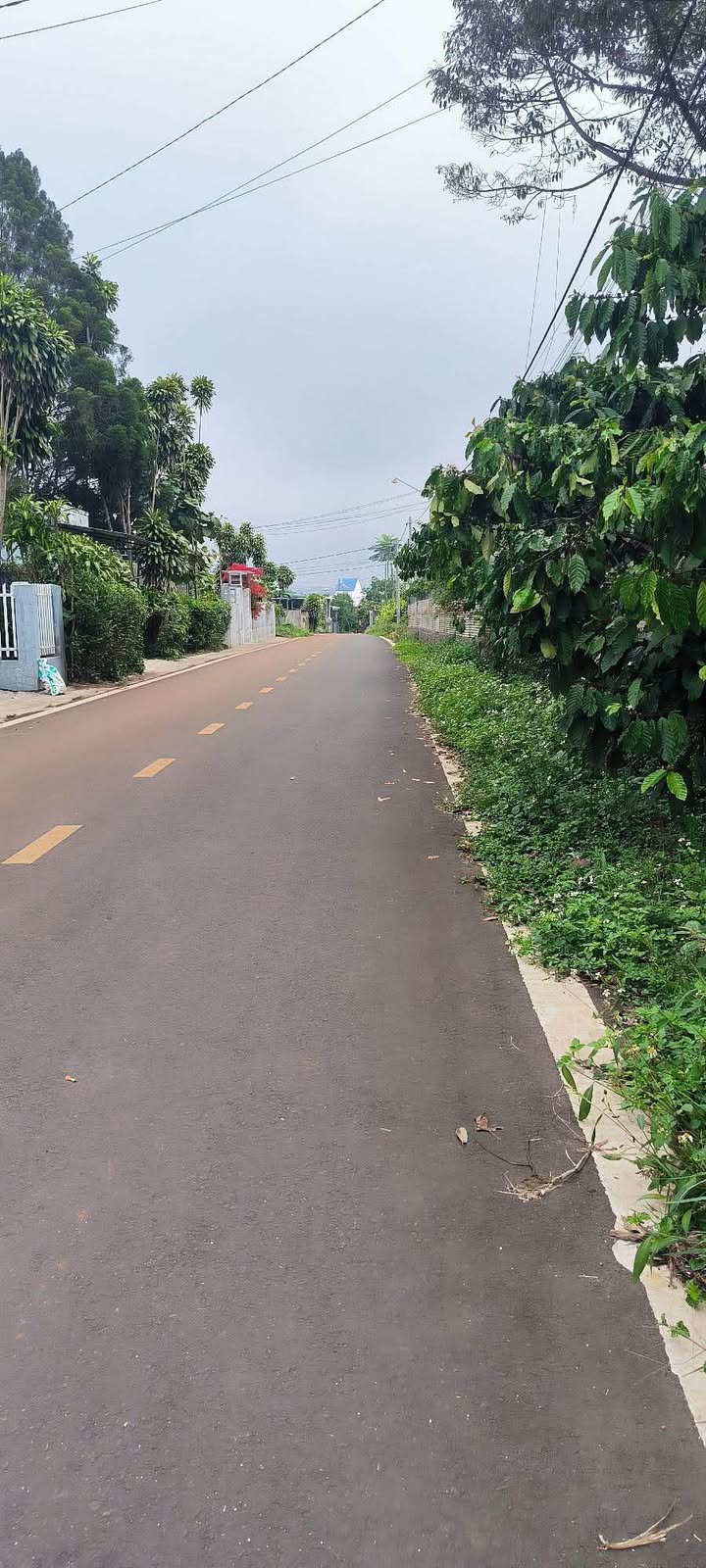 Đất Nền 795m² Mặt Tiền Hẻm Phan Chu Trinh, P.3, Bảo Lộc - Sổ Hồng Riêng