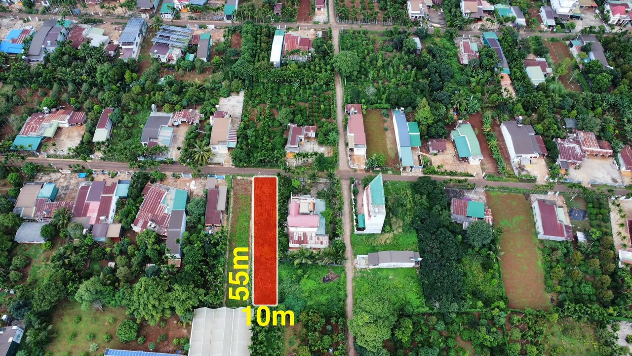 Đất Mặt Tiền Đường Nhựa 550m² - TDP Kiên Cường, Buôn Ma Thuột - Giá 1.9 Tỷ