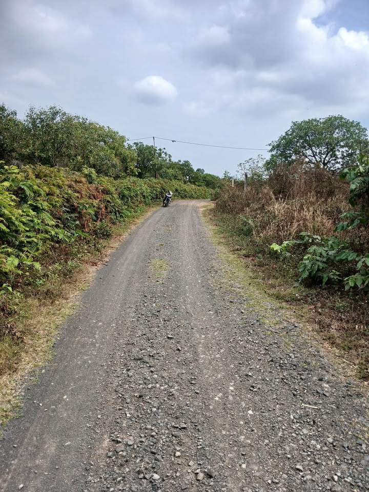 Bán Đất Đồi Buôn Ma Thuột 1620m² - View Đẹp, Sổ Đỏ Sẵn Sàng