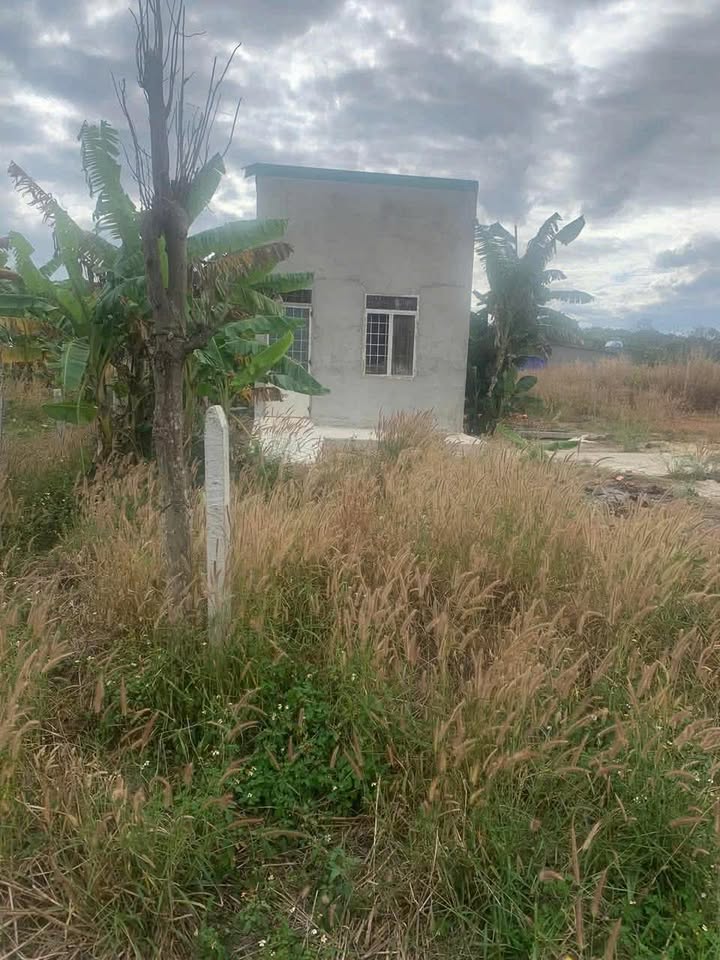 Đất Vườn Buôn Ma Thuột 1000m² Sổ Hồng Riêng - Giá Đầu Tư 3.3 Tỷ