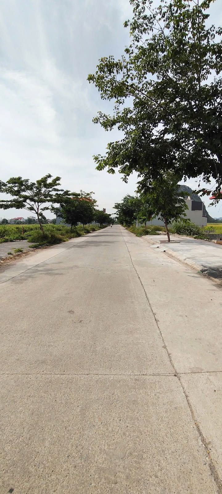 Đất nền Phong Phú Ninh Giang 100m² - Sổ đỏ chính chủ!