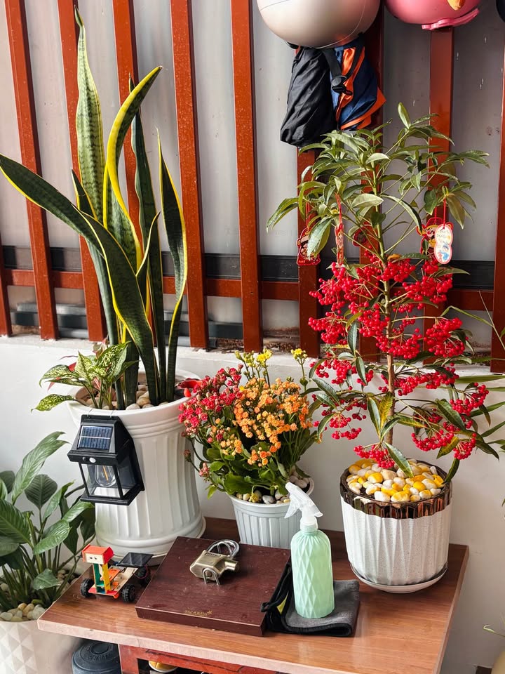 Nhà 123m² MT Hoàng Văn Thụ, Quy Nhơn - Giá 6.2 Tỷ