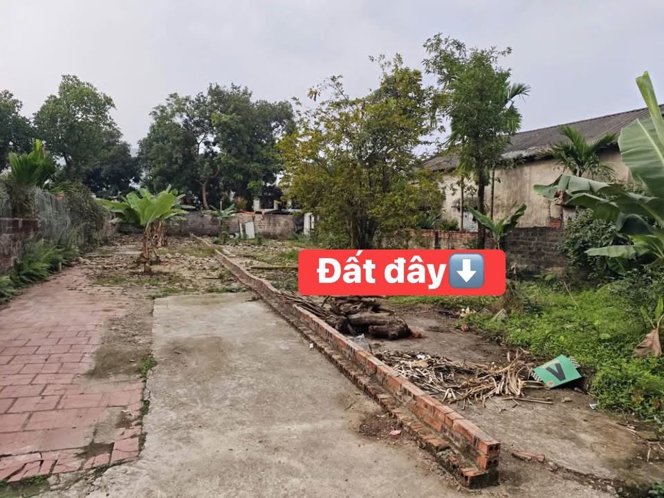 Đất nền Việt Trì 148m² - Sổ đỏ thổ cư, hướng Đông Nam mát mẻ