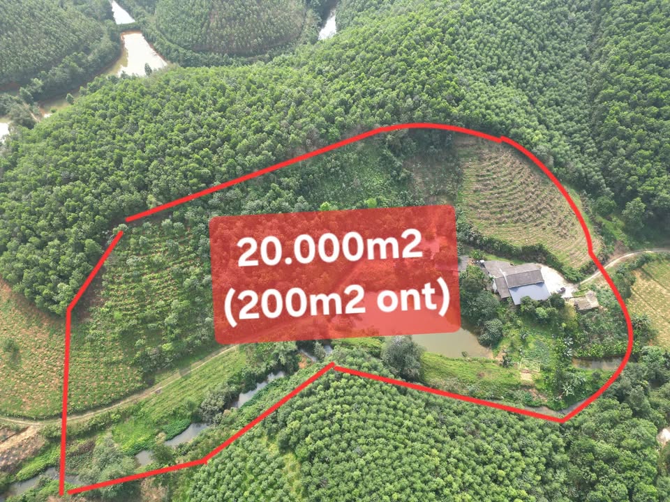 Trang trại 2ha Yên Lập Phú Thọ 1 tỷ - Nghỉ dưỡng lý tưởng