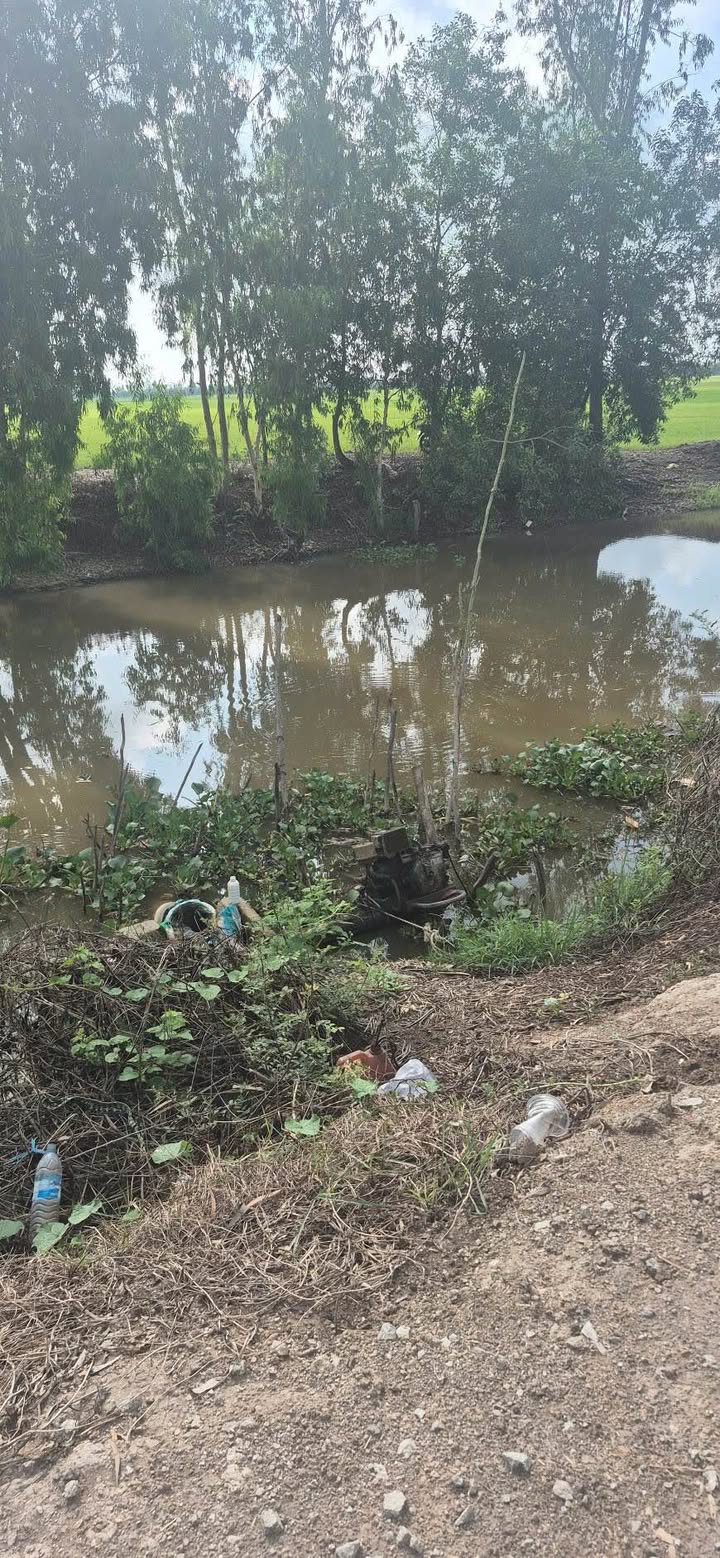 Đất Ruộng 66.000m² Tà Đảnh, An Giang - Đầu tư dài hạn sinh lời