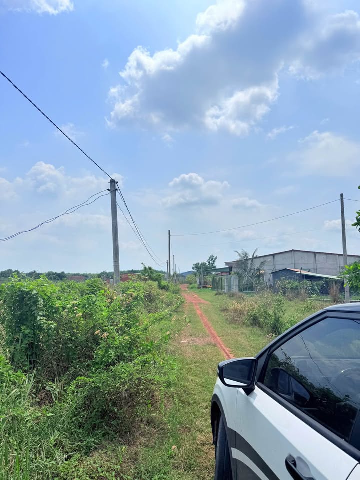 Bán Đất Vườn Mặt Tiền 3600m² Đường Nhựa Lớn Tại Tây Ninh - 850 Triệu