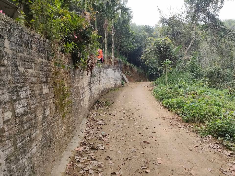 Bán Đất Trang Trại Phường Văn Phú 1.3ha Giá Hơn 2 Tỷ - Nghỉ Dưỡng Lý Tưởng