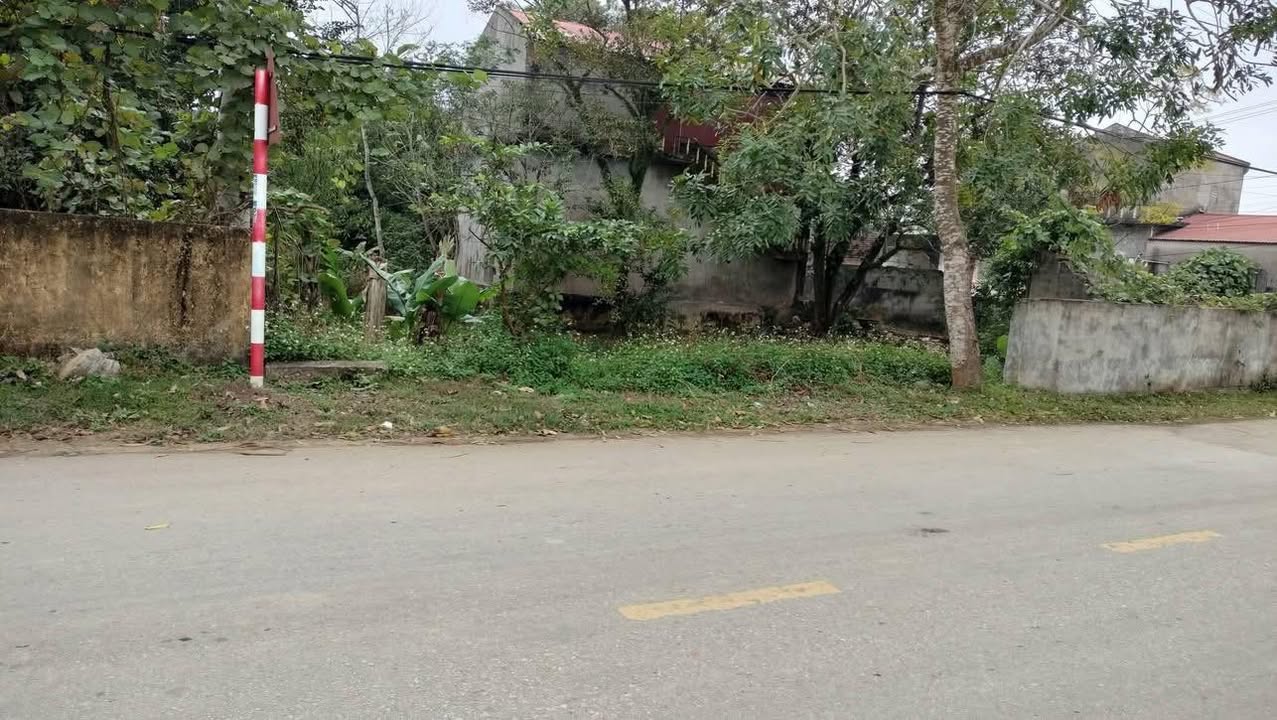 Đất mặt tiền Yên Định 294m² - Mặt tiền rộng, ô tô vào tận nơi!