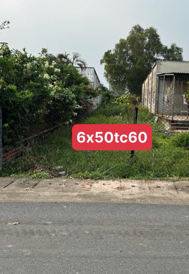 Đất Nền Phước Tỉnh 300m² - Sổ Đỏ Rõ Ràng, Giá Đầu Tư 2 Tỷ