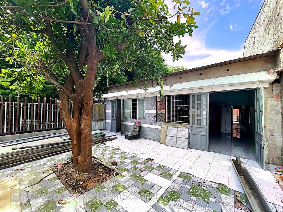 Bán Gấp Nhà Long Tâm 255m² - Đường Xe Tải Tận Nhà, Giá Tốt